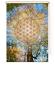 Preview: Blume des Lebens autumn dream Duschrollo